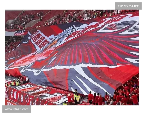 亚冠赛季精彩回顾:这些队伍让你热血沸腾 亚冠赛季精彩回顾:这些队伍让你热血沸腾